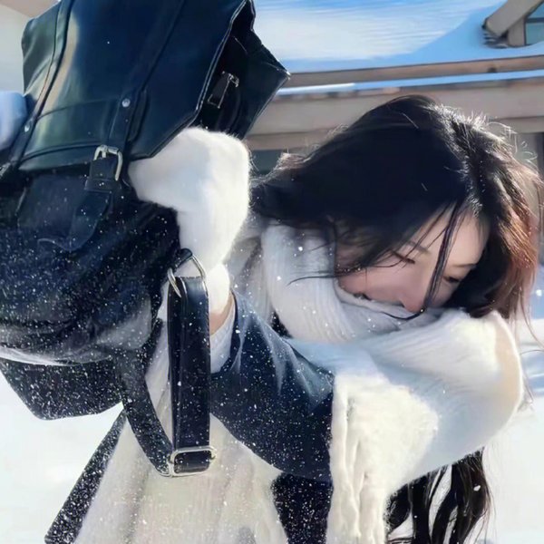 江分利满先生的优雅生活海报