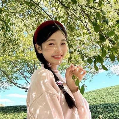 敬子的手海报