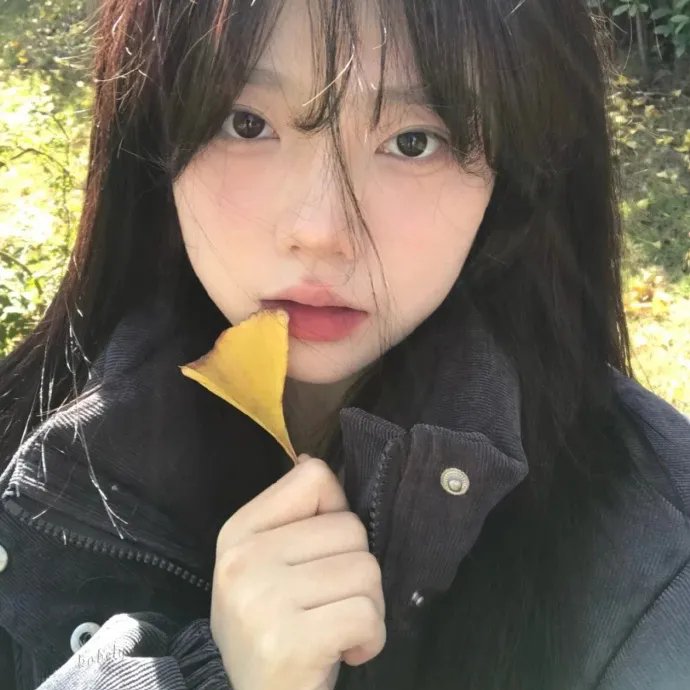 丝结之谜海报